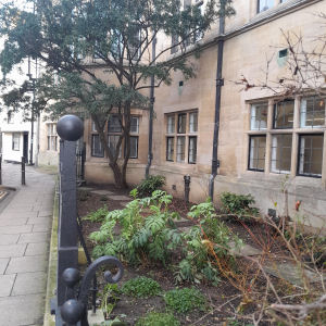 Old Botanical Garden